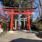 【2022年版】馬橋稲荷神社～穴八幡宮の神社巡り